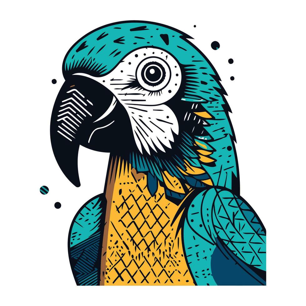 schattig papegaai vector illustratie. hand- getrokken exotisch tropisch vogel.