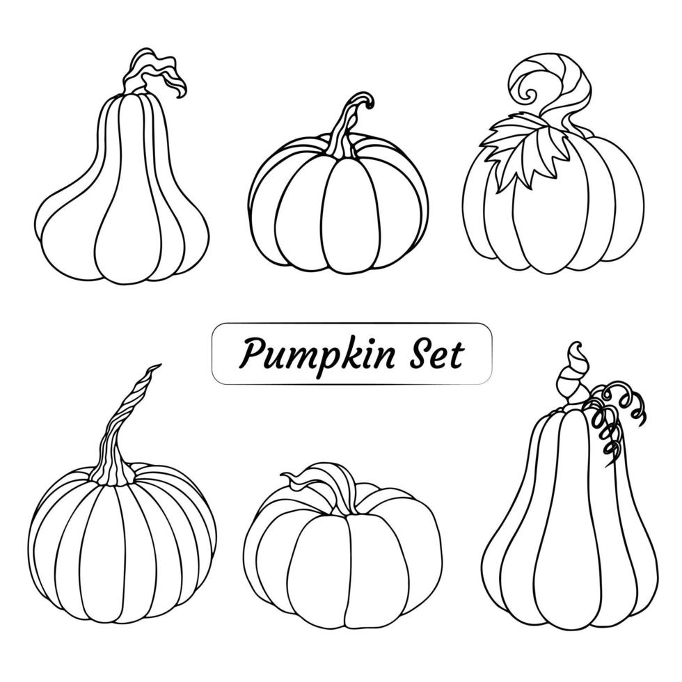 een set met pompoenen voor de herfst of halloween vector