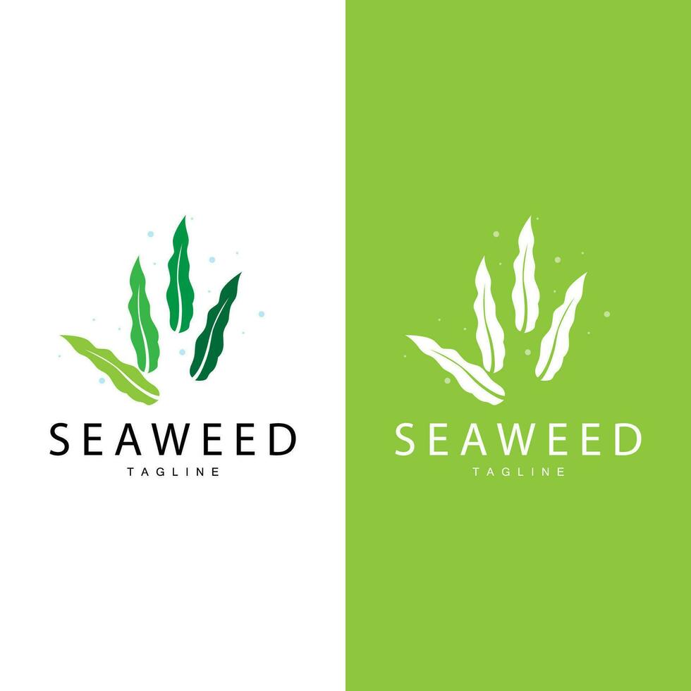 zeewier logo ontwerp, onderwater- fabriek ontwerp illustraties, schoonheidsmiddelen en voedsel ingrediënt vector