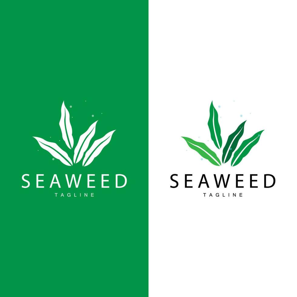 zeewier logo ontwerp, onderwater- fabriek ontwerp illustraties, schoonheidsmiddelen en voedsel ingrediënt vector