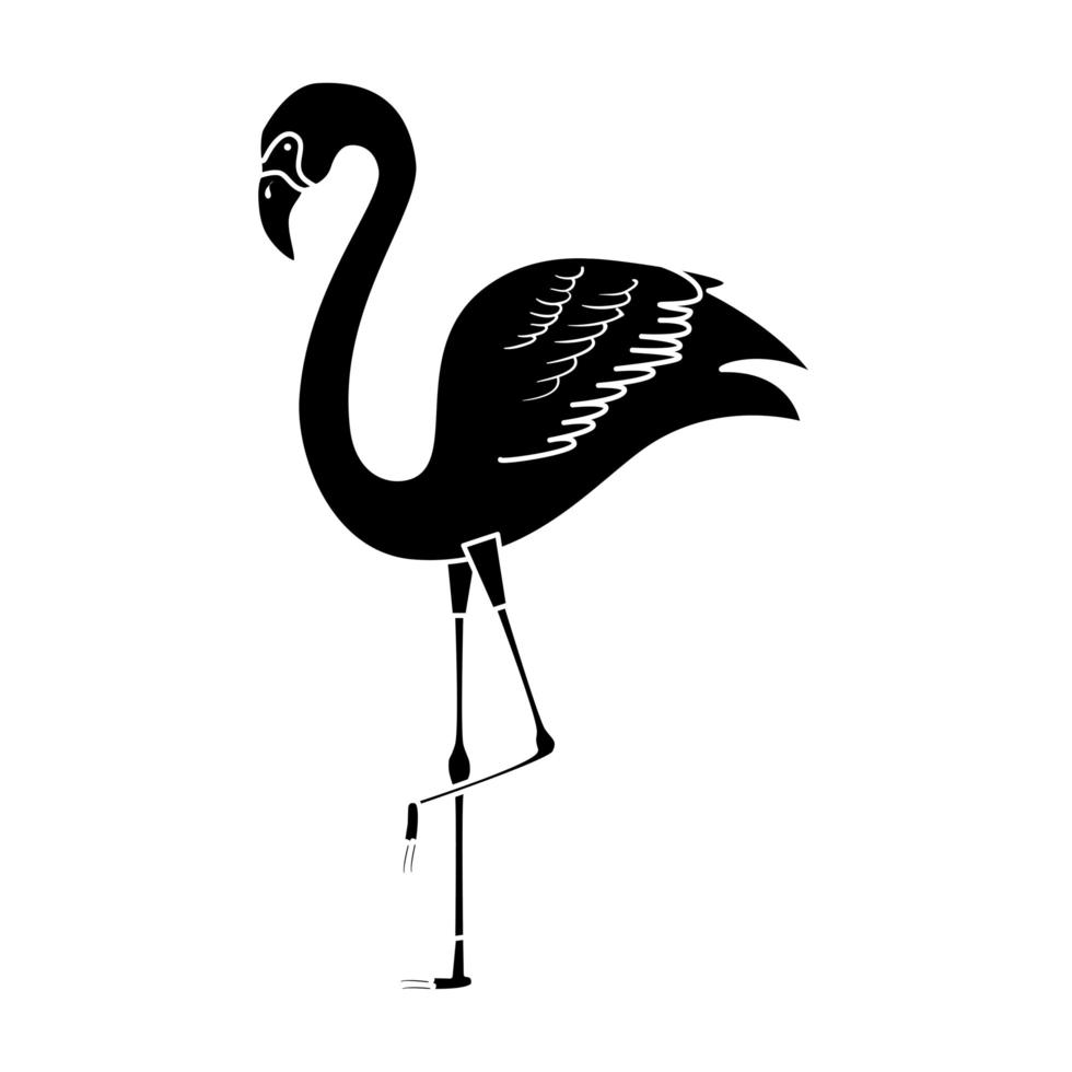 silhouet van flamingo dier exotisch geïsoleerd pictogram vector