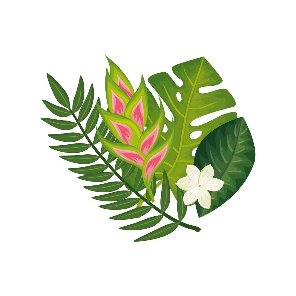 bloem heliconia met bladeren geïsoleerde pictogram vector