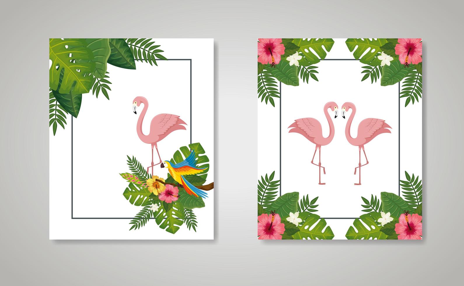 set scènes van flamingo's roze dieren met bladeren natuur vector