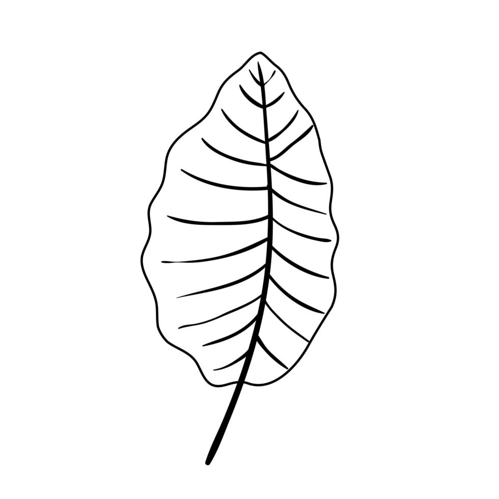 blad natuur tropische lijn stijlicoon vector