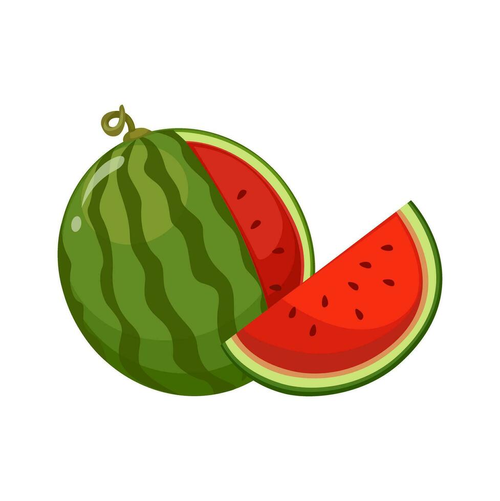 watermeloen fruit geheel en plak symbool tekenfilm illustratie vector