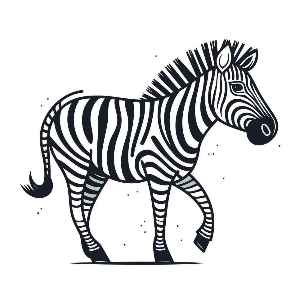 zebra. hand- getrokken vector illustratie geïsoleerd Aan een wit achtergrond.