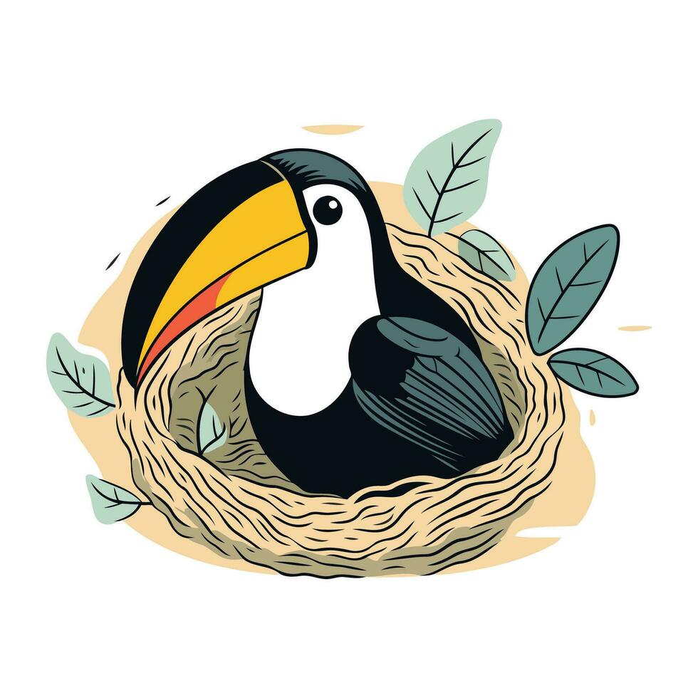 toekan vogel in de nest. vector illustratie Aan wit achtergrond.