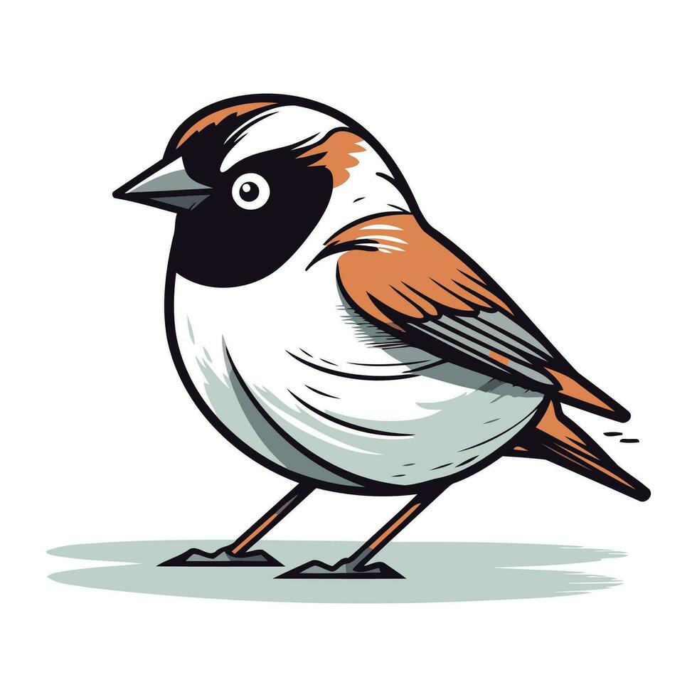 goudvink vogel. vector illustratie van een goudvink.