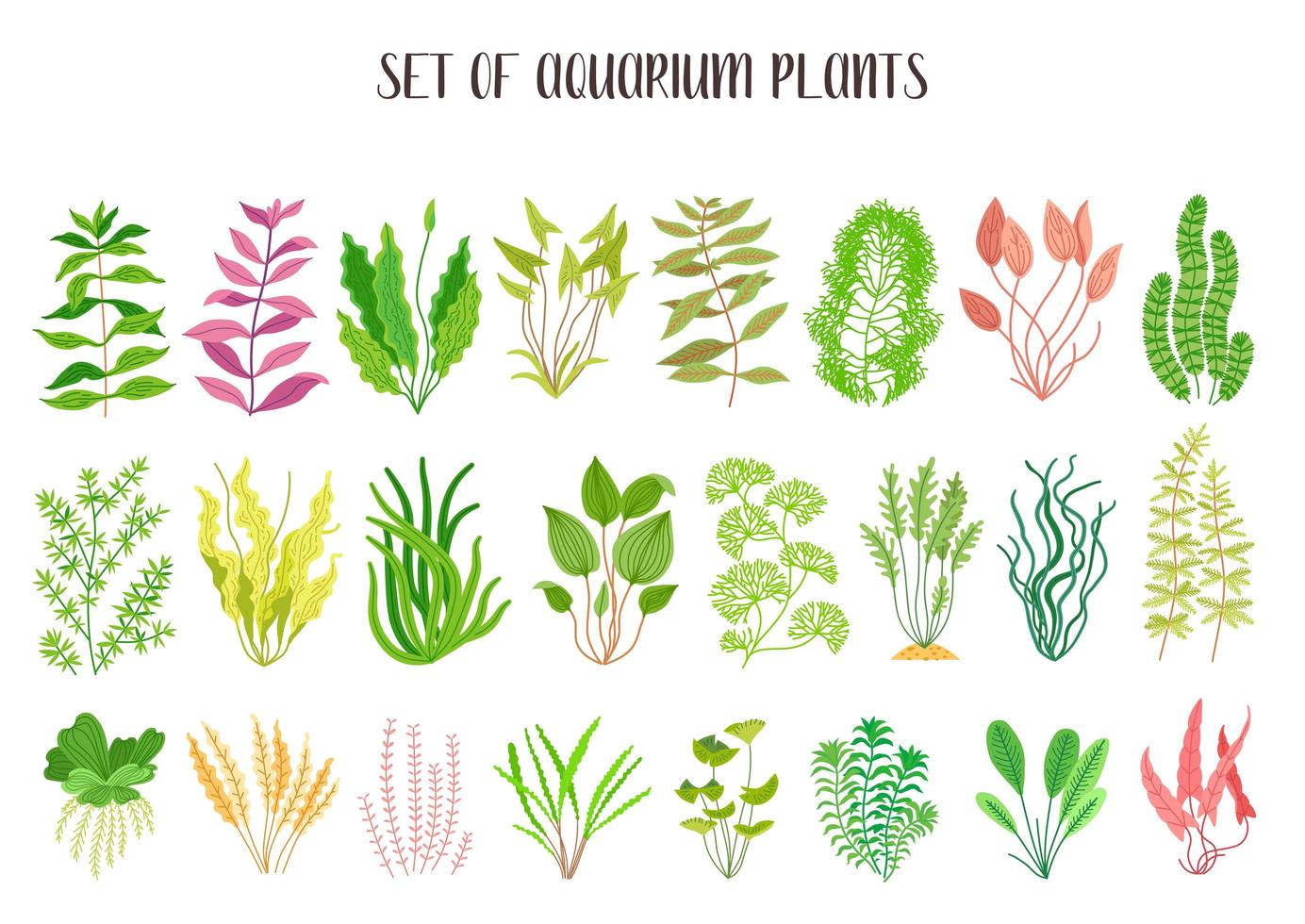 schattige cartoon aquariumplanten set. natuur natuur vector