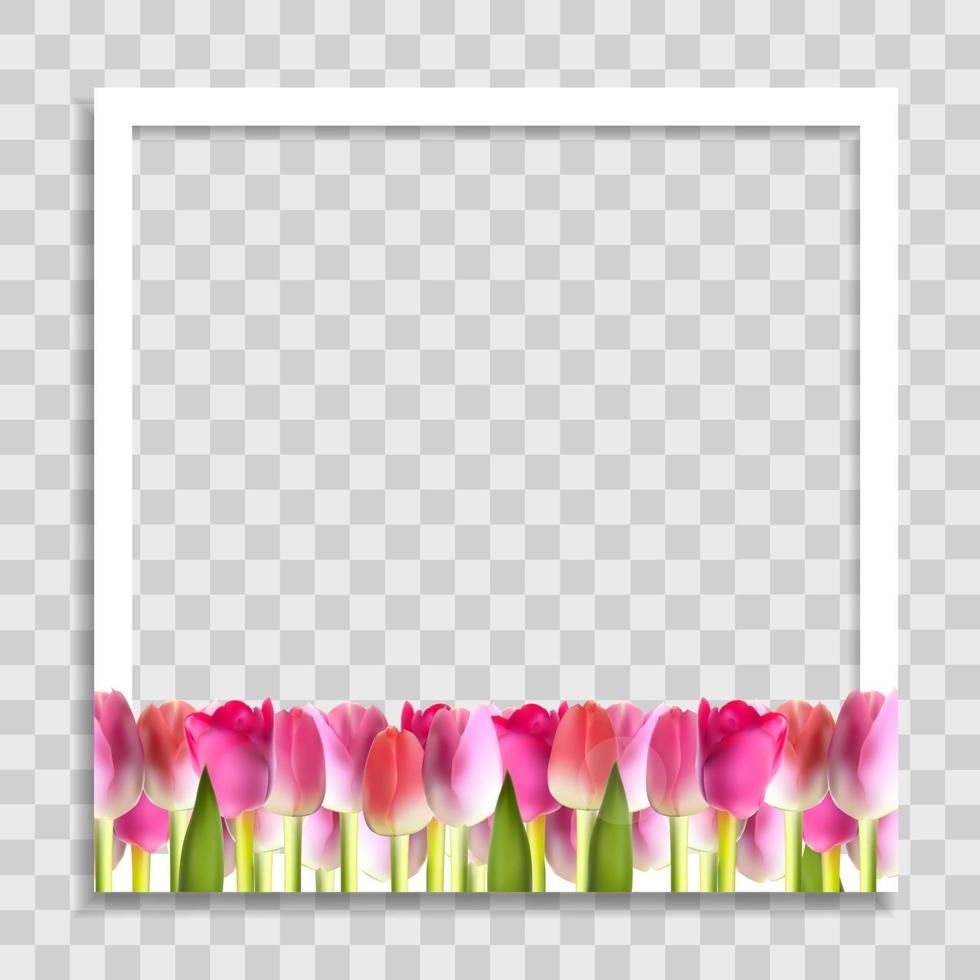 lege fotolijstsjabloon met lentebloemen vector