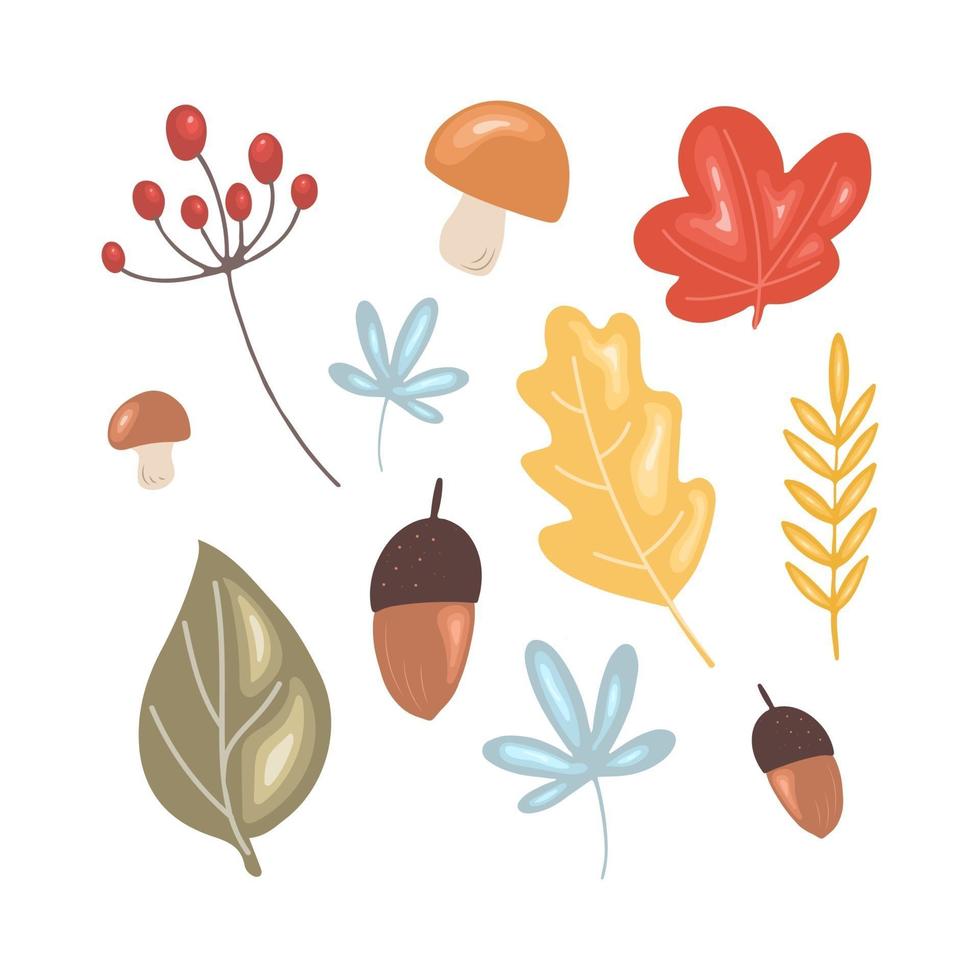 Thanksgiving bloemen set. bladeren, champignons, bessen en eikels vector