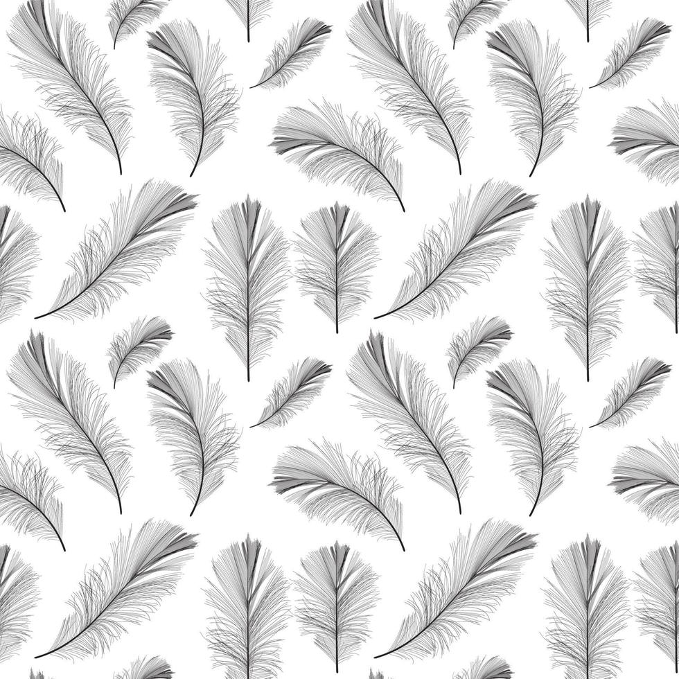 vogel veer hand getekende naadloze patroon achtergrond vector