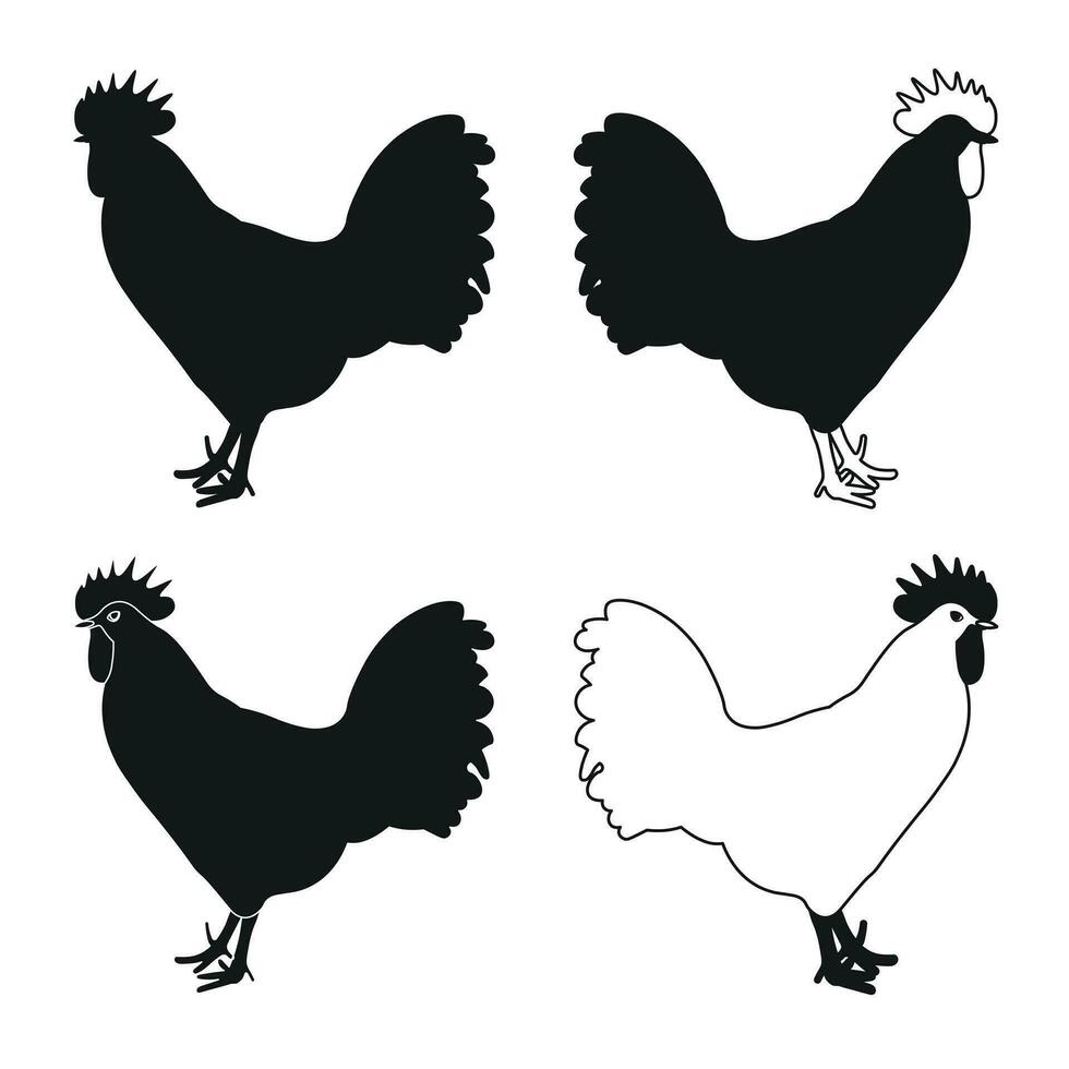 kok, haan, haan, kip, kip, kuiken, positie staan, gevogelte silhouet hand- getrokken vector