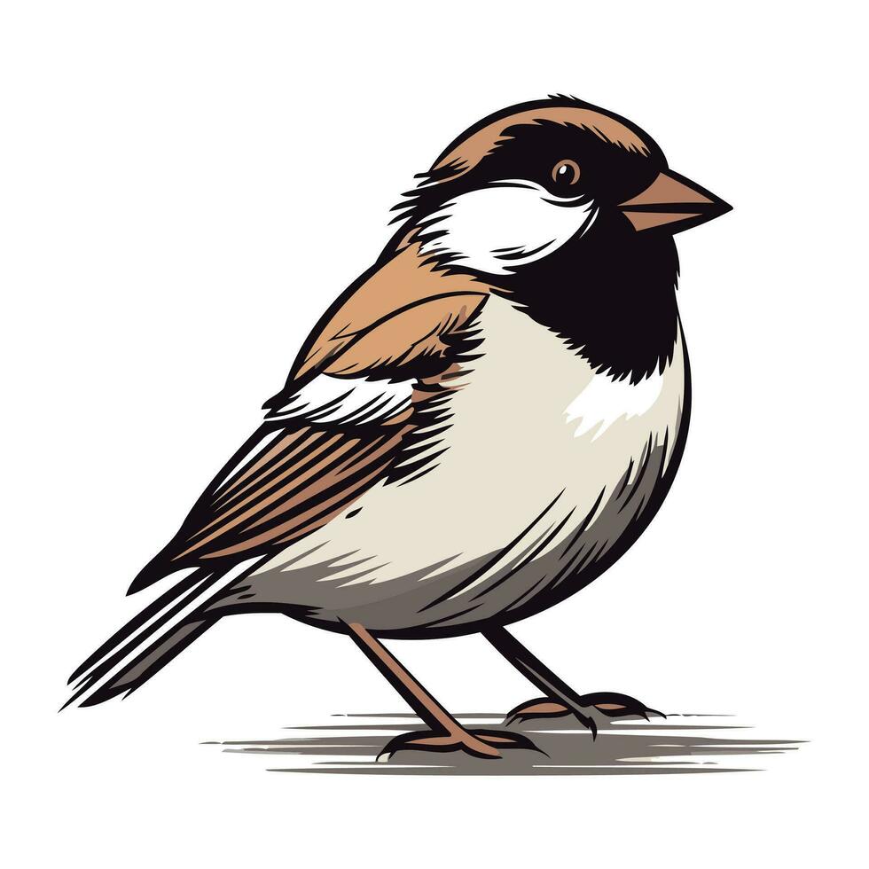 mus. vector illustratie van een vogel Aan een wit achtergrond.