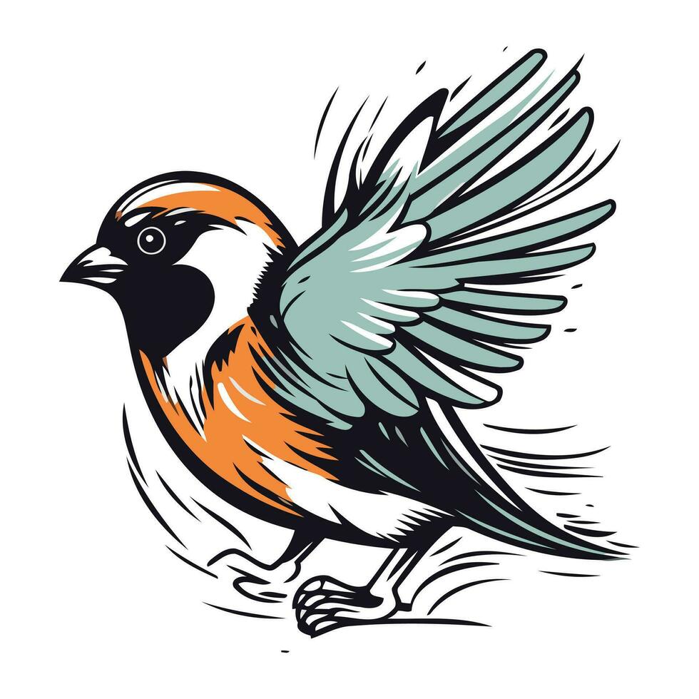 goudvink vogel. vector illustratie van een goudvink.