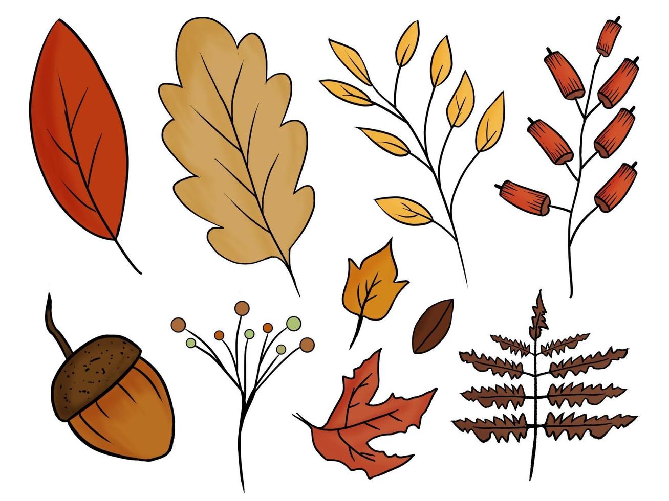 gekleurde handgetekende collectie herfstbladeren vector