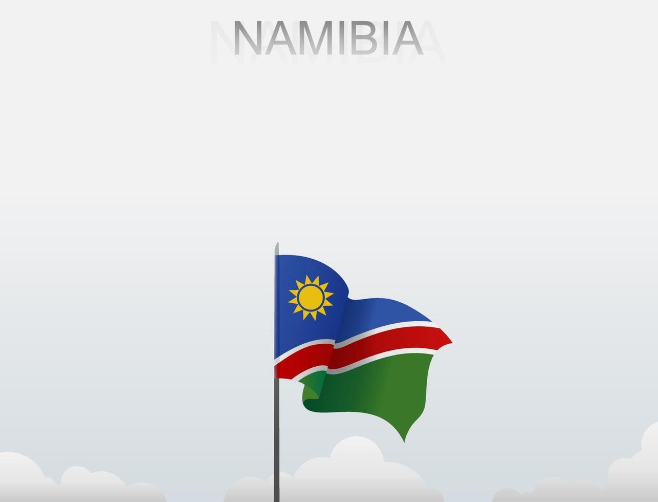 vlag van Namibië die onder de witte lucht vliegt vector