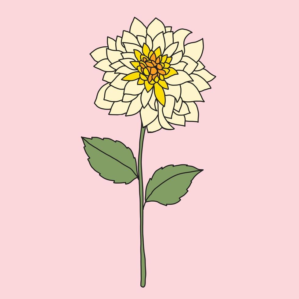 doodle uit de vrije hand schets tekening van bloem. vector