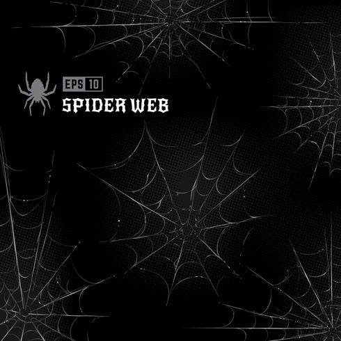 Vector spinnenwebben op zwarte achtergrond