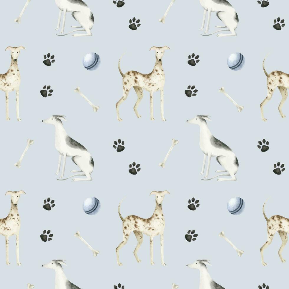 een whippet honden. een huisdier honden. de hond hond honden, poten, ballen en botten. waterverf naadloos patroon.schattig huisdier-thema afdrukken voor, kleding stof, ontwerp, veterinair kliniek, huisdier op te slaan, logo, scrapbooking, huisdier labels. vector