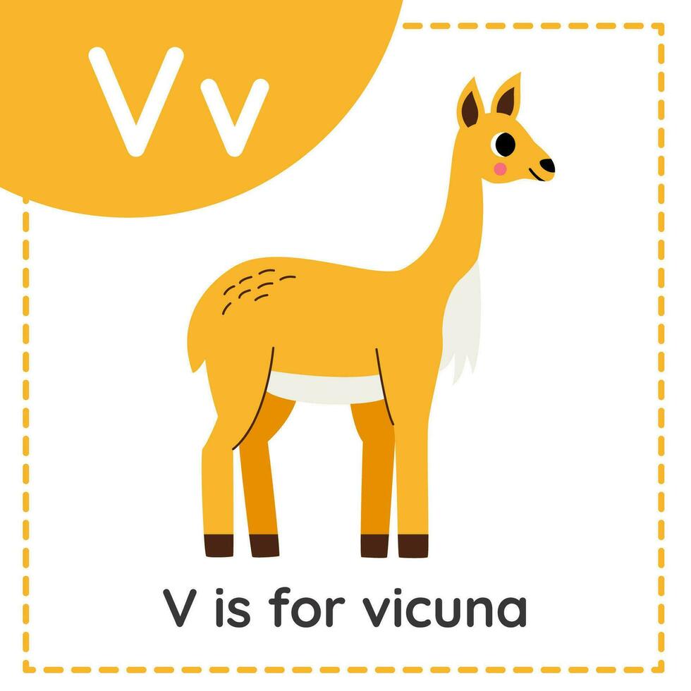 aan het leren Engels alfabet voor kinderen. brief v. schattig tekenfilm vicuna. vector