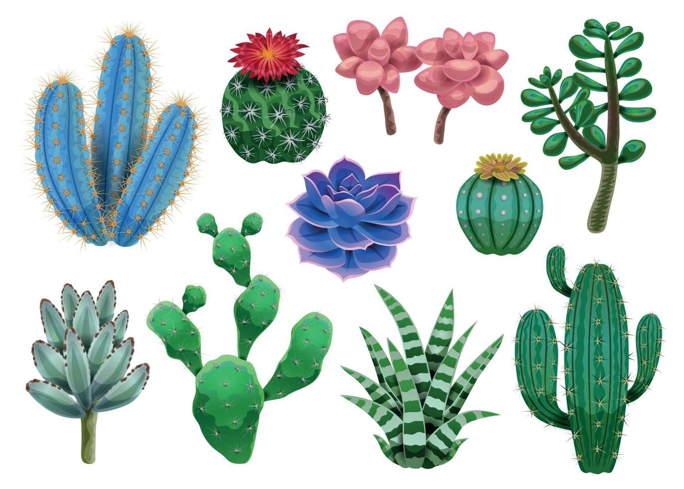 cactus plant iconen collectie vector