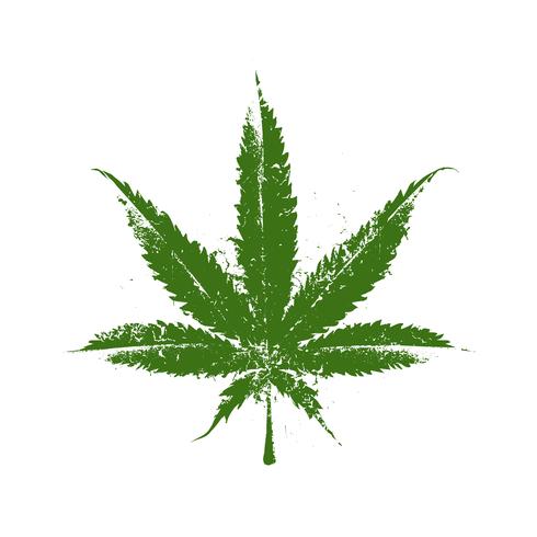 marihuana grunge blad vector