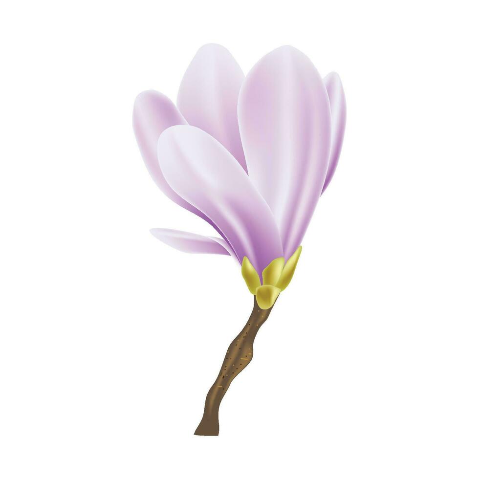 vector voorjaar achtergrond met bloesem brunch van Purper bloemen
