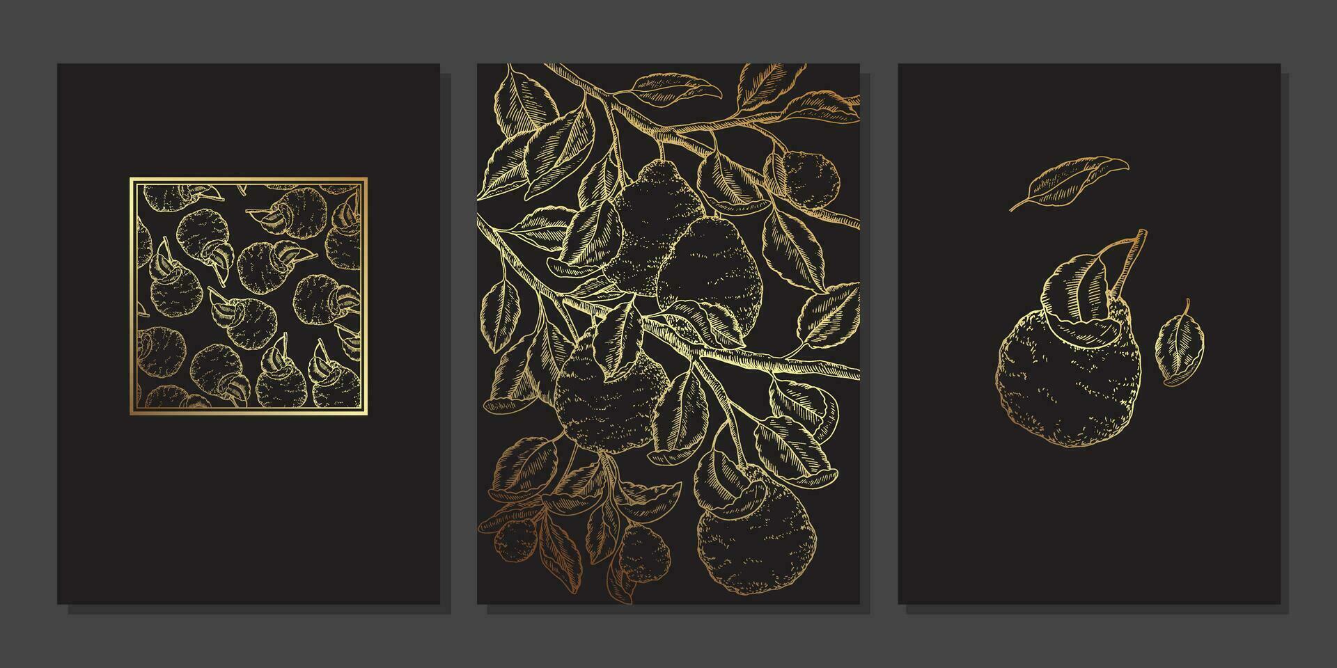 reeks van luxe goud muur kunst. gouden bergamot takken, bladeren, boom. goud citrus gedetailleerd illustratie. minimalistische lijn kunst met kaffir limoen Aan zwart achtergrond vector