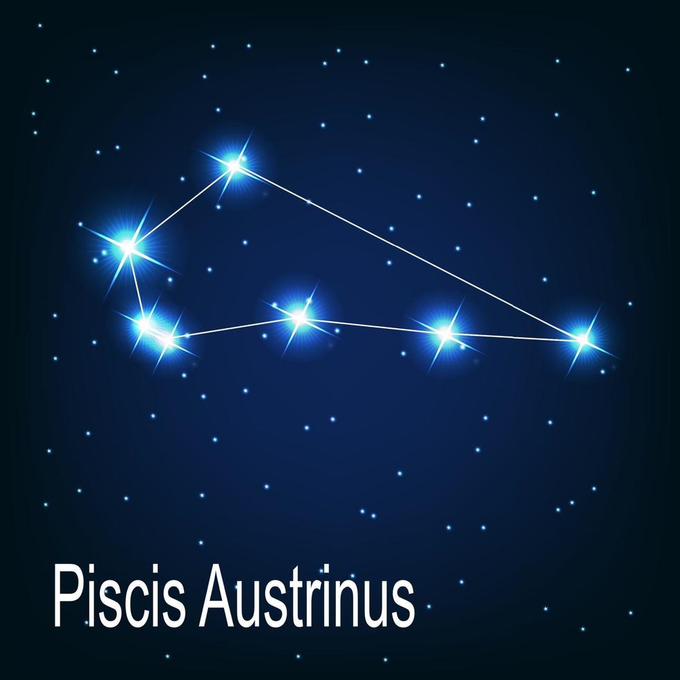 het sterrenbeeld piscis austrinus ster aan de nachtelijke hemel. vector