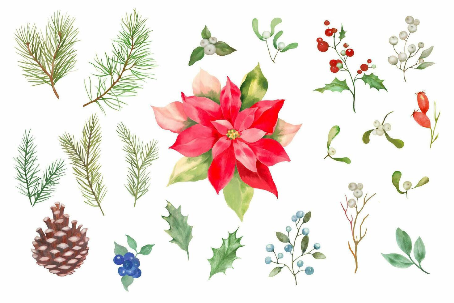 waterverf Kerstmis set. hand- getrokken bloemen illustratie geïsoleerd Aan wit achtergrond. vector