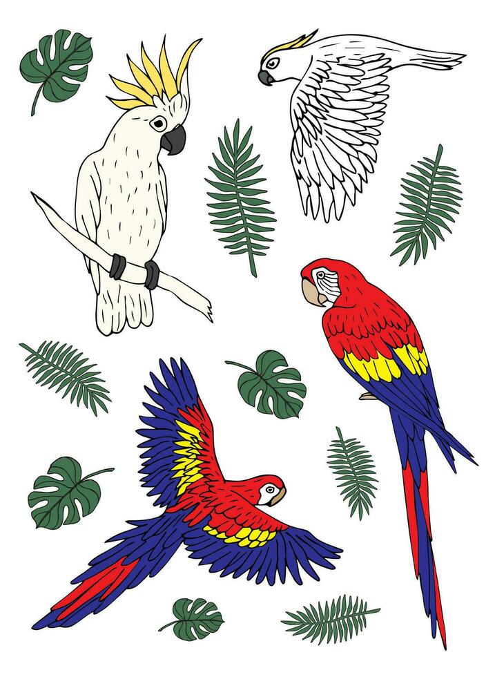 vector reeks van hand- getrokken gekleurde papegaaien