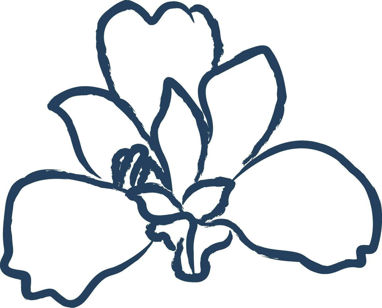 iris bloem hand- getrokken vector illustratie