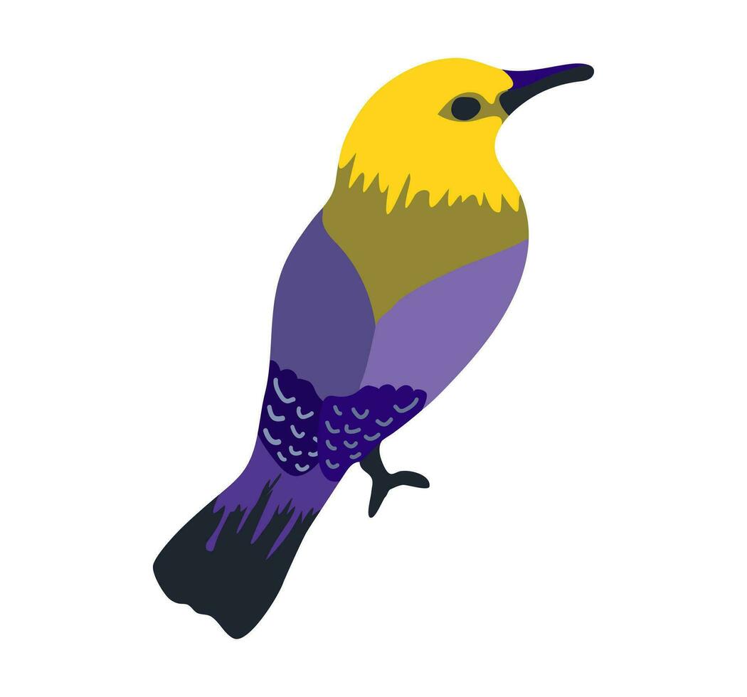 vogel met paars, geel en blauw veren met lang bek en lang staart. geïsoleerd Aan wit achtergrond. vector tekenfilm illustratie in kinderachtig stijl.