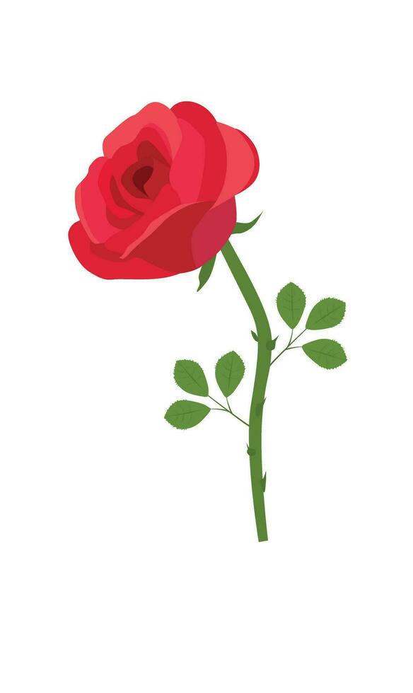 roos bloem vector illustratie. rood roos vector. liefde bloem. bloemen klem kunst. natuur concept. bloemen en planten. vlak vector in tekenfilm stijl geïsoleerd Aan wit achtergrond.