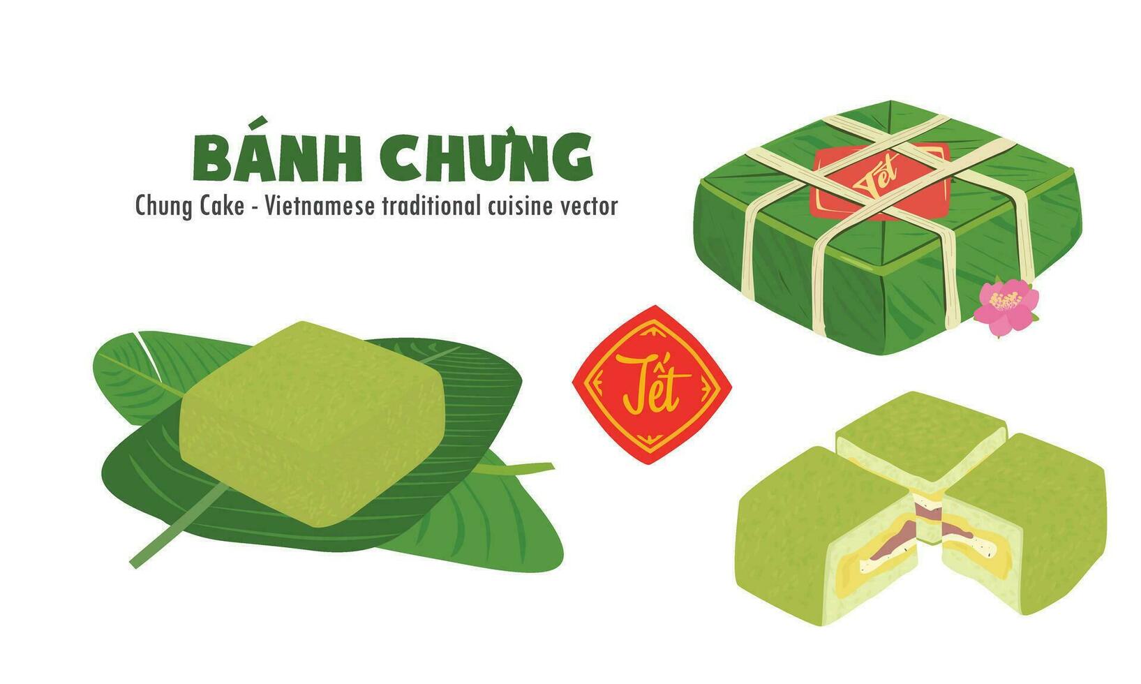 chung taart vector set. geheel, voor de helft en kwartaal van chung taart. Vietnamees keuken. Vietnamees traditioneel nieuw jaar. plein kleverig rijst- gevuld in groen bladeren. banh chung. gelukkig tet vakantie. tet voedsel.