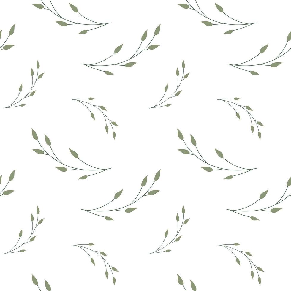naadloos patroon, twijgen en bladeren van eucalyptus Aan een wit achtergrond. achtergrond, afdrukken, elegant textiel, vector