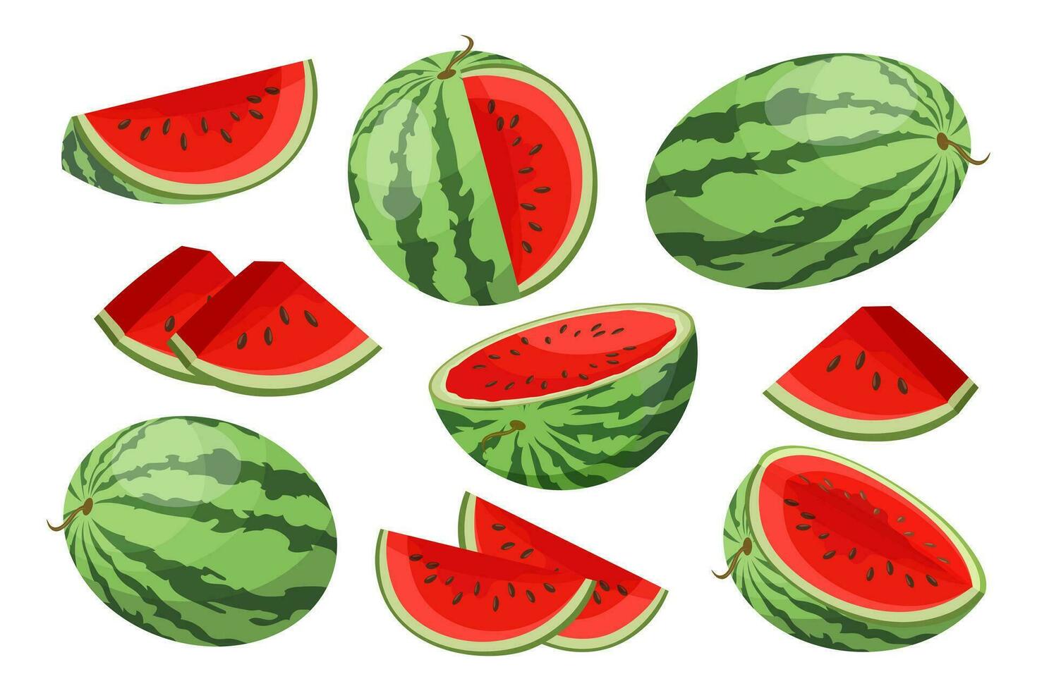 watermeloen set, geheel en besnoeiing watermeloen geïsoleerd Aan wit achtergrond. fruit illustratie, vector