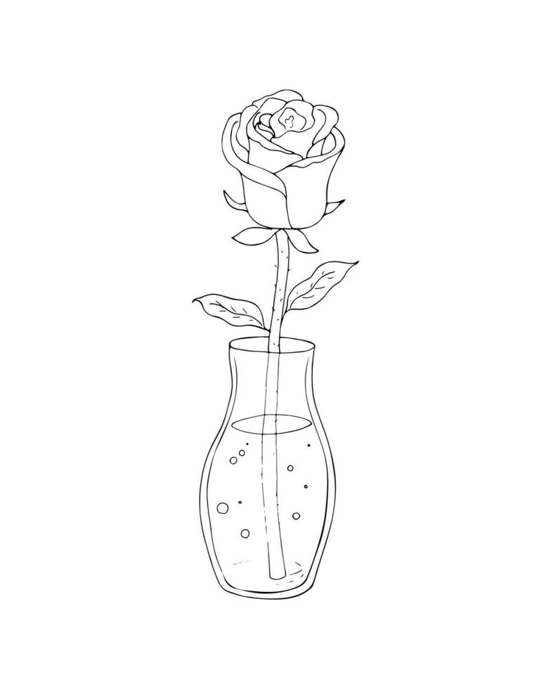 glas vaas met een roos geïsoleerd Aan een wit achtergrond. roos in een glas kom met water. interieur element. 8 maart, moeder of Valentijnsdag dag. hand- getrokken bloemen illustratie. vector