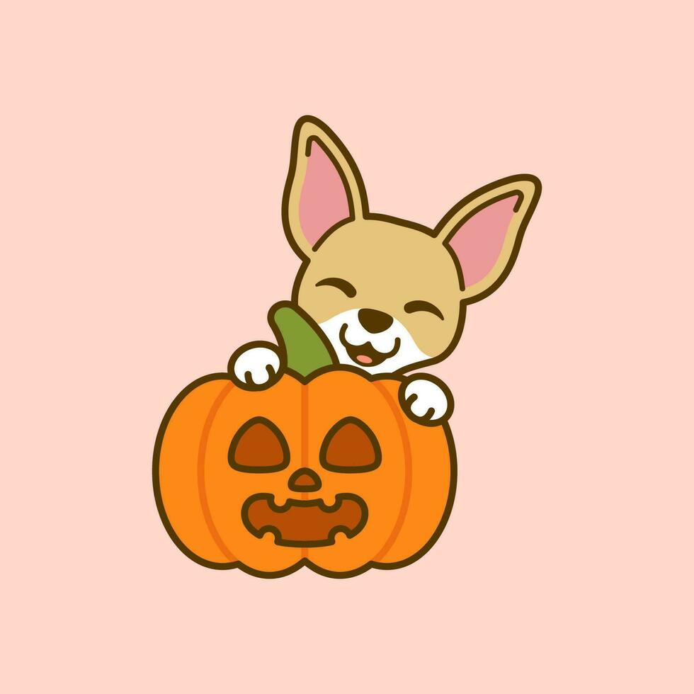 vector schattig chihuahua met jack O lantaarn