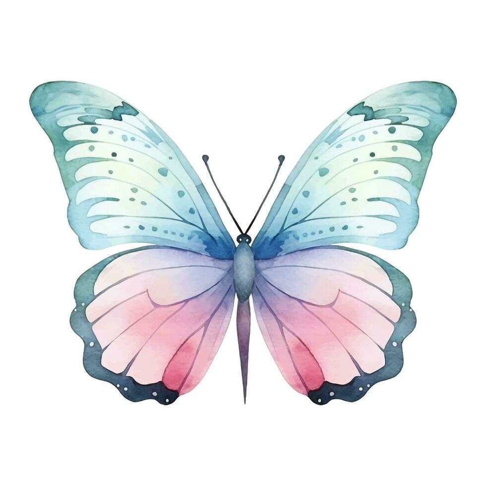 waterverf exotisch vlinder. vector illustratie met hand- getrokken vlinder, mot. klem kunst afbeelding.