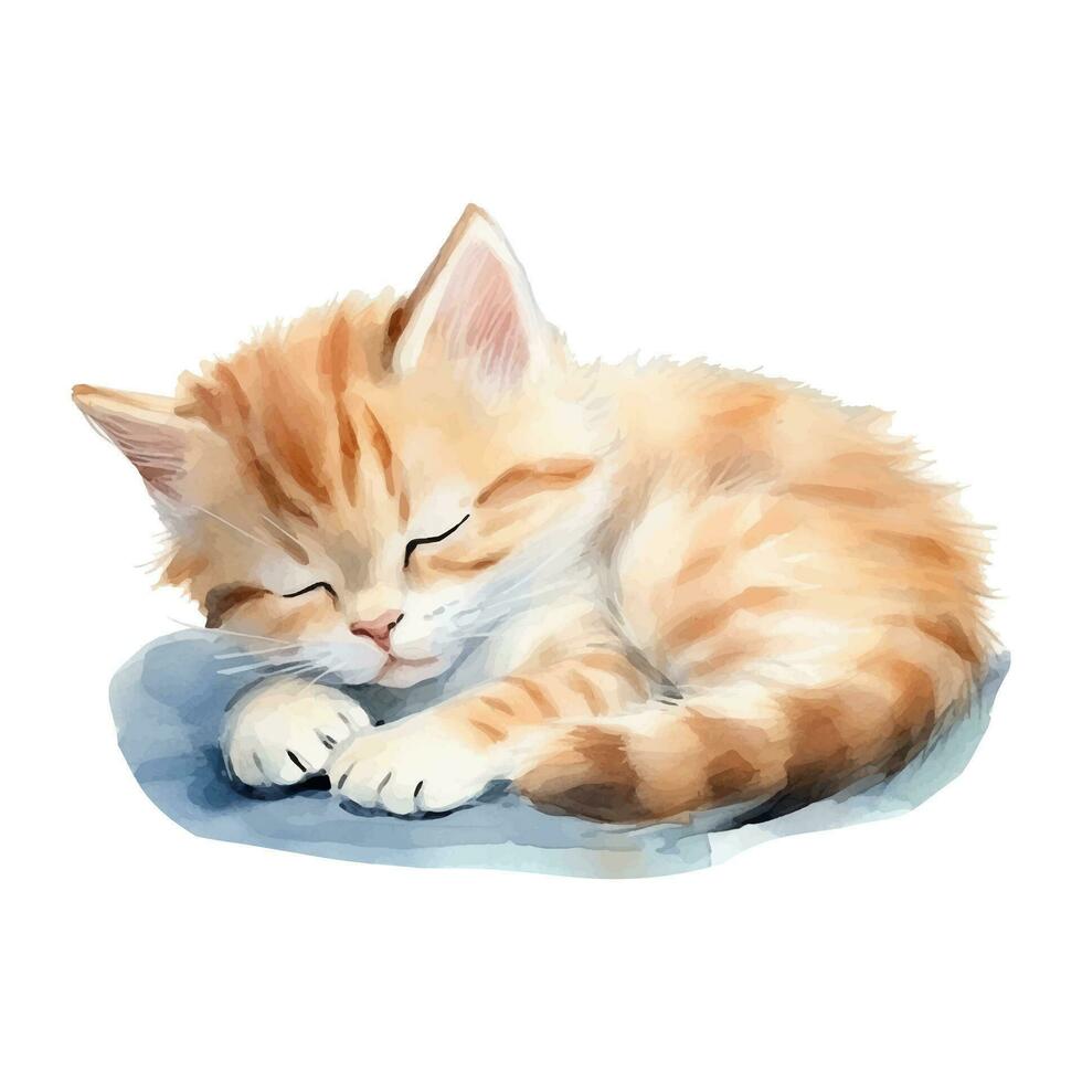 waterverf kat. vector illustratie met hand- getrokken