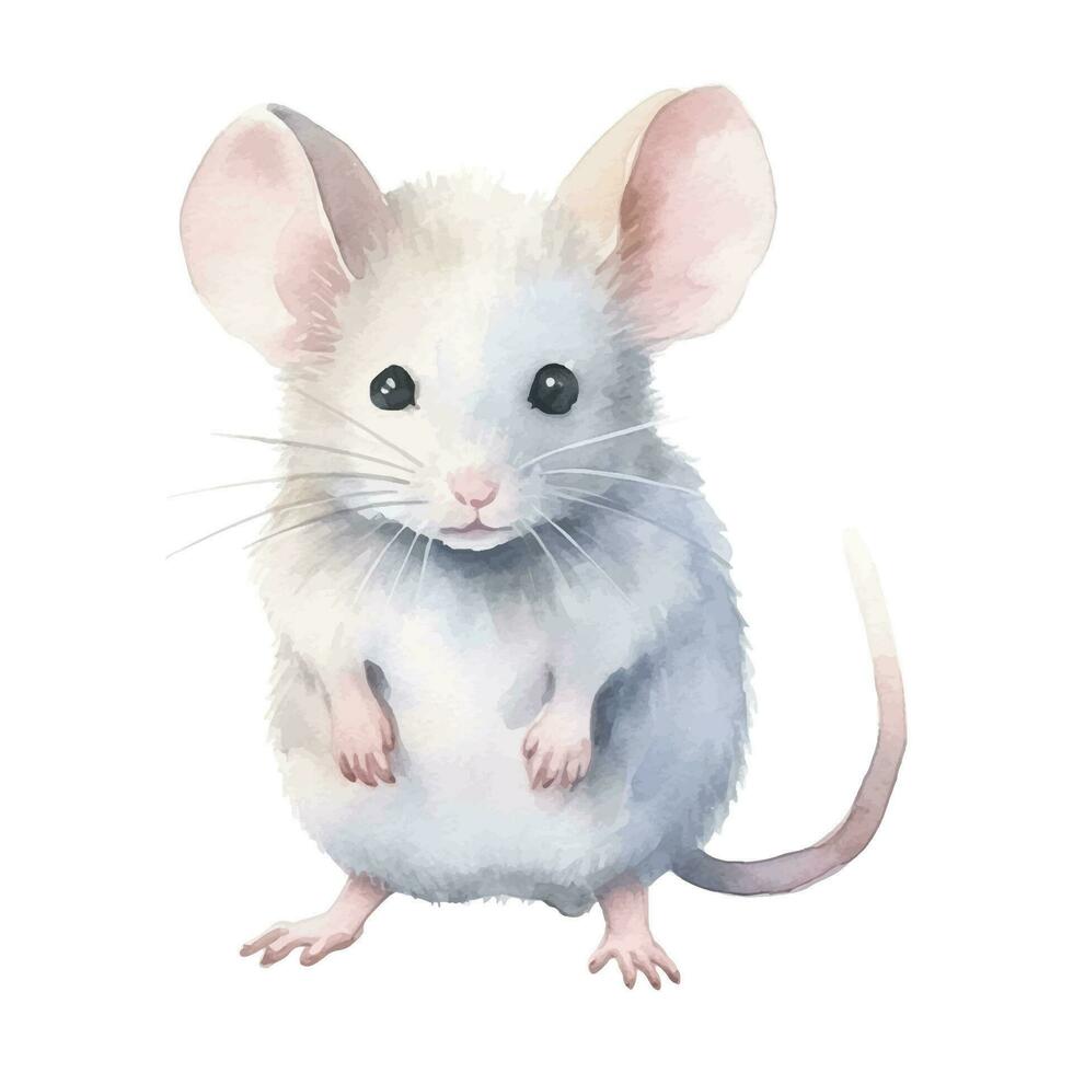 waterverf muis. vector illustratie met hand- getrokken muis, knaagdier. klem kunst afbeelding.