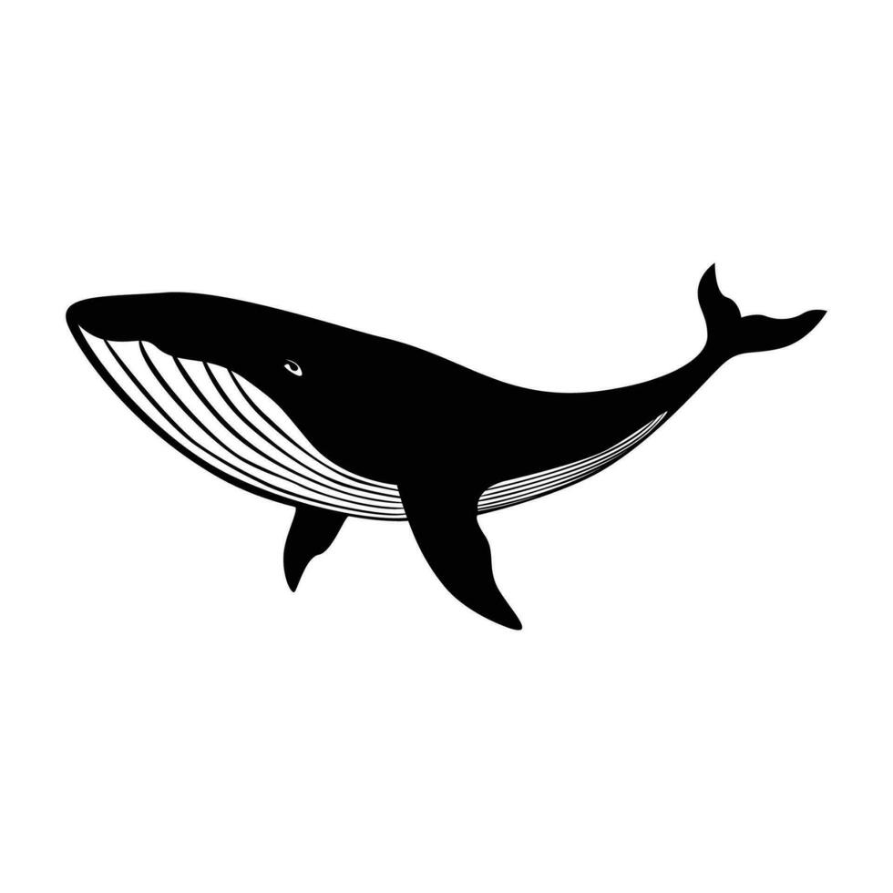 gebochelde walvis silhouet ontwerp. zee zoogdier dier teken en symbool. vector