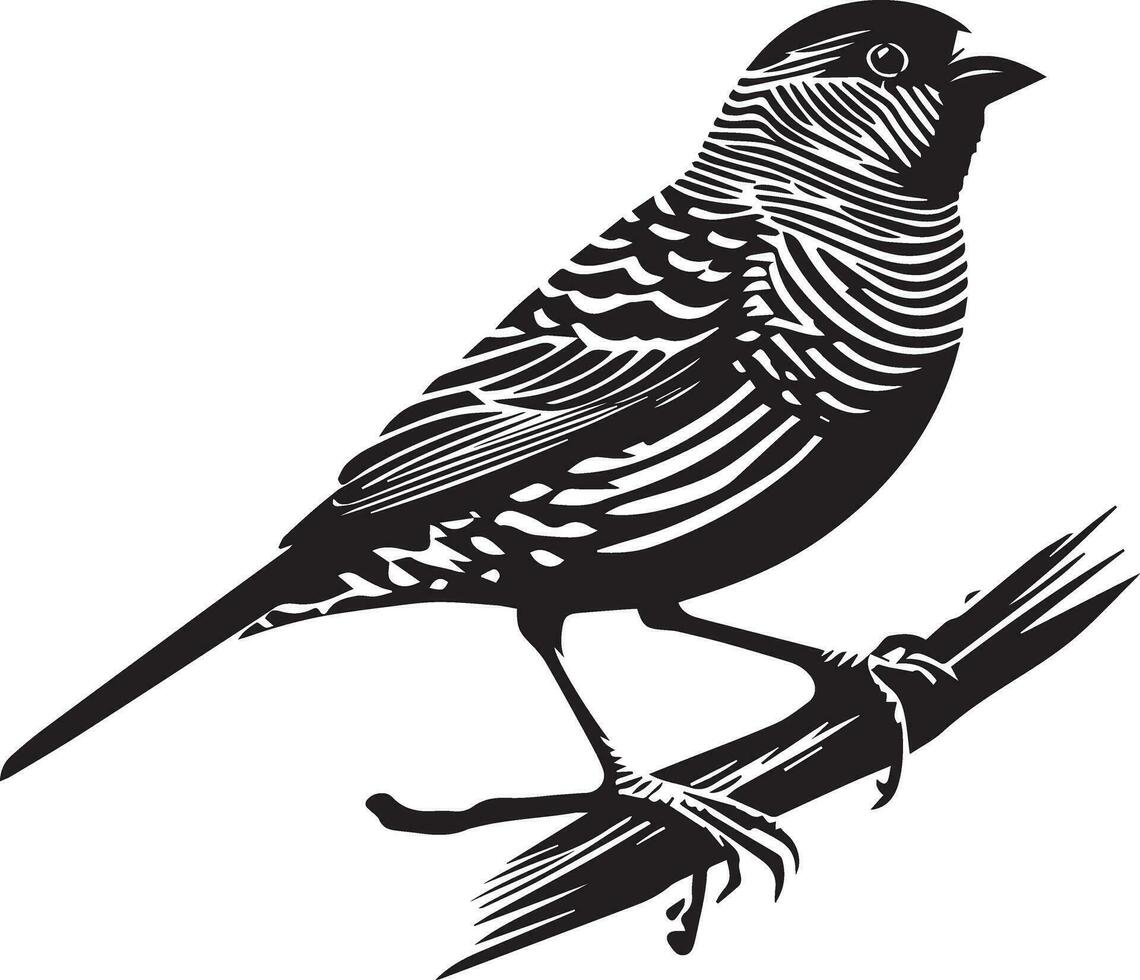 zebra vink vogel vector silhouet 10