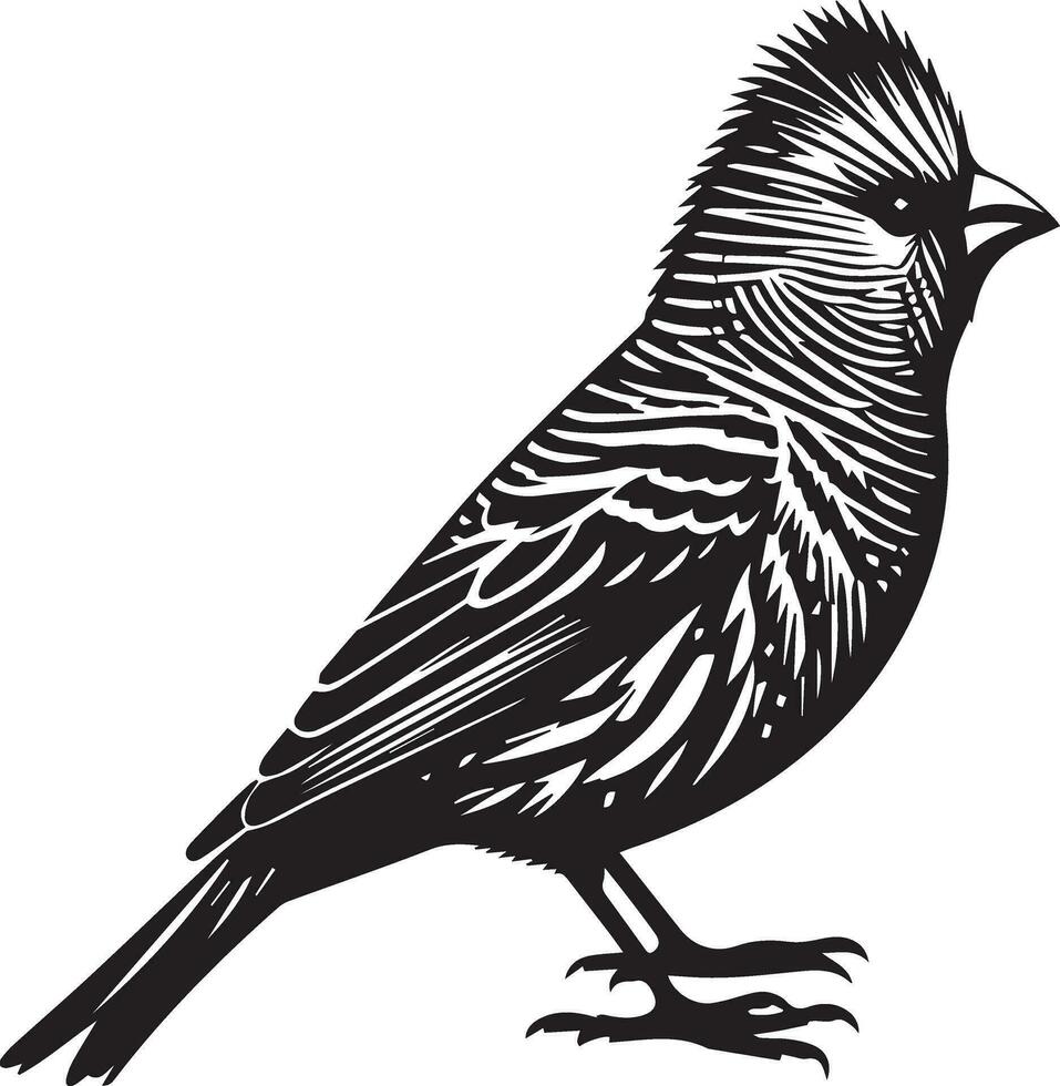 zebra vink vogel vector silhouet 4