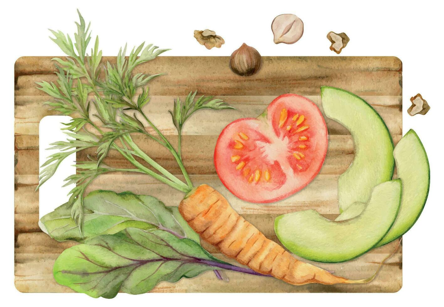 hand- getrokken waterverf groente en kruid mengen voor eetpatroon en gezond levensstijl, salade veganistisch Koken. illustratie samenstelling geïsoleerd Aan wit achtergrond. ontwerp voor poster, afdrukken, website, kaart, menu vector