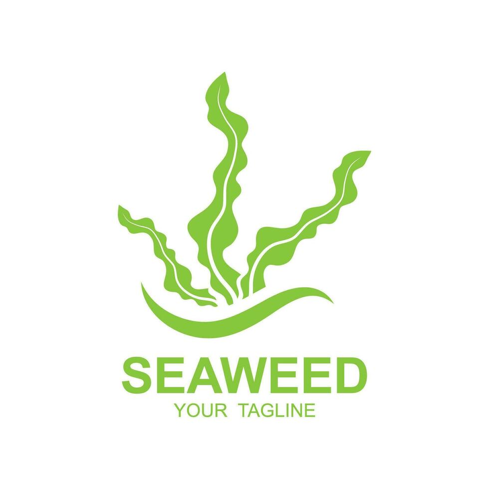 zeewier logo ontwerp, onderwater- fabriek illustratie, schoonheidsmiddelen en voedsel ingrediënten vector