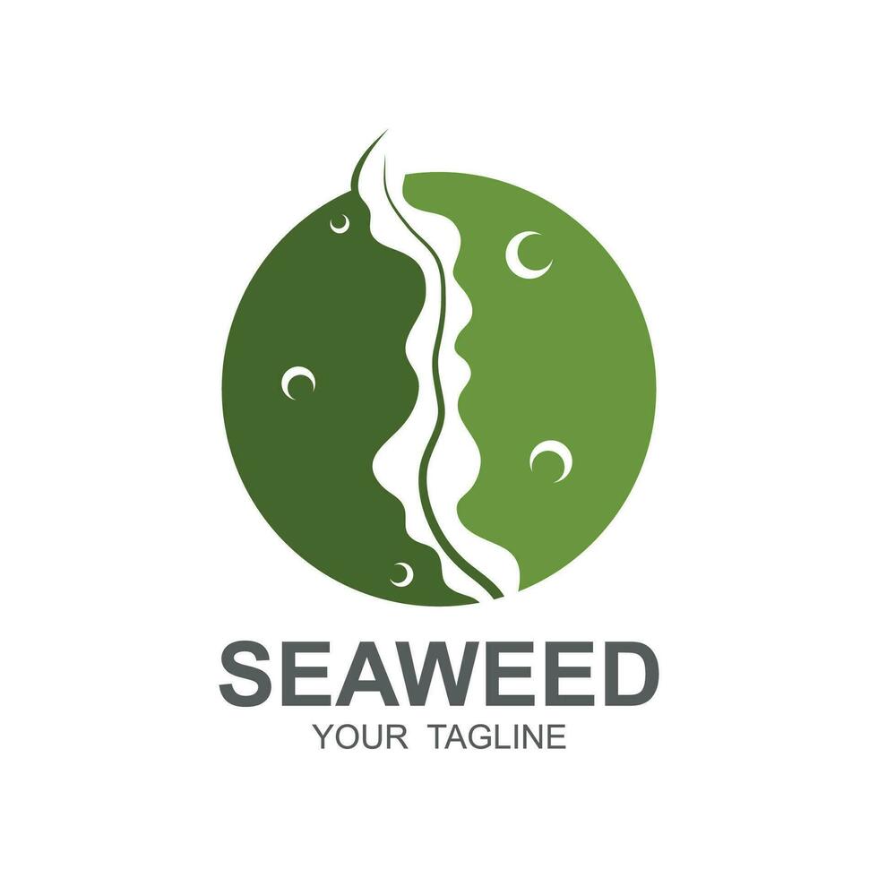 zeewier logo ontwerp, onderwater- fabriek illustratie, schoonheidsmiddelen en voedsel ingrediënten vector