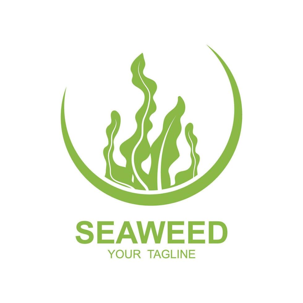 zeewier logo ontwerp, onderwater- fabriek illustratie, schoonheidsmiddelen en voedsel ingrediënten vector